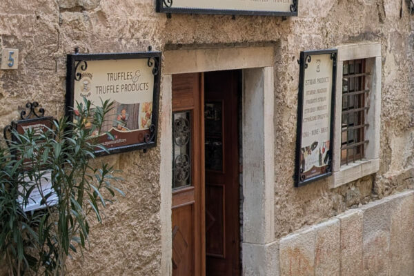 WhatsApp Image 2026-03-27 at 06.20.05